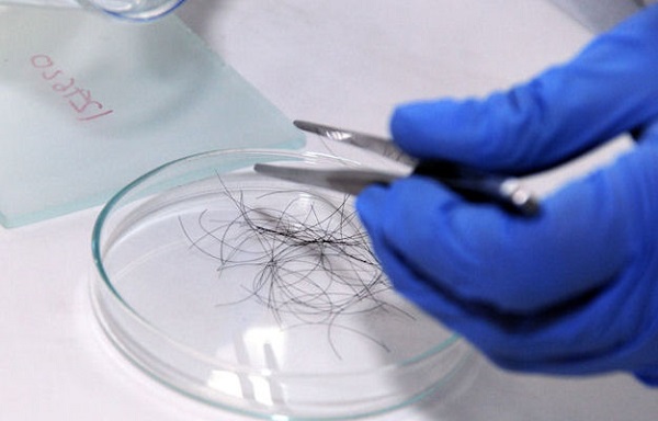Биологи научились вычислять преступников по волосам